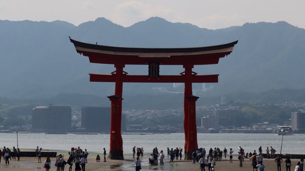 EP 3: JAPAN | Travel Journal Series EP 3: JAPAN | Travel Journal Series