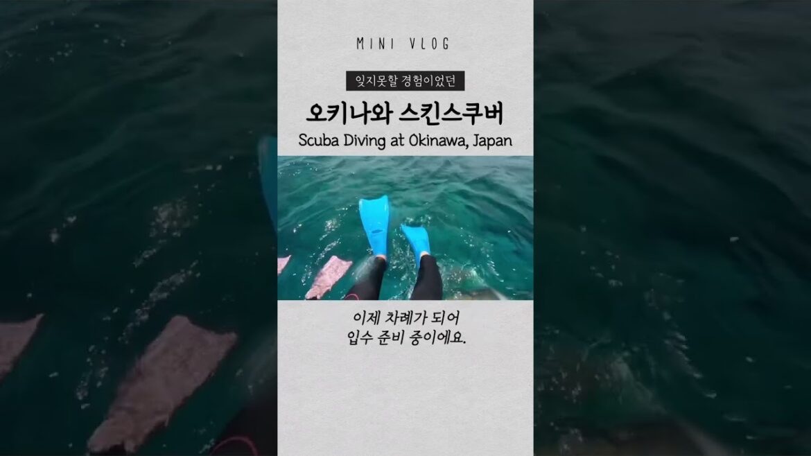오키나와에서 스쿠버 다이빙 첫 경험하면 일어나는 일