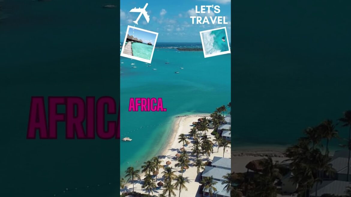 Travel Vlog21|solo travel vlog|italy travel vlog|food vlog Travel Vlog21|solo travel vlog|italy travel vlog|food vlog