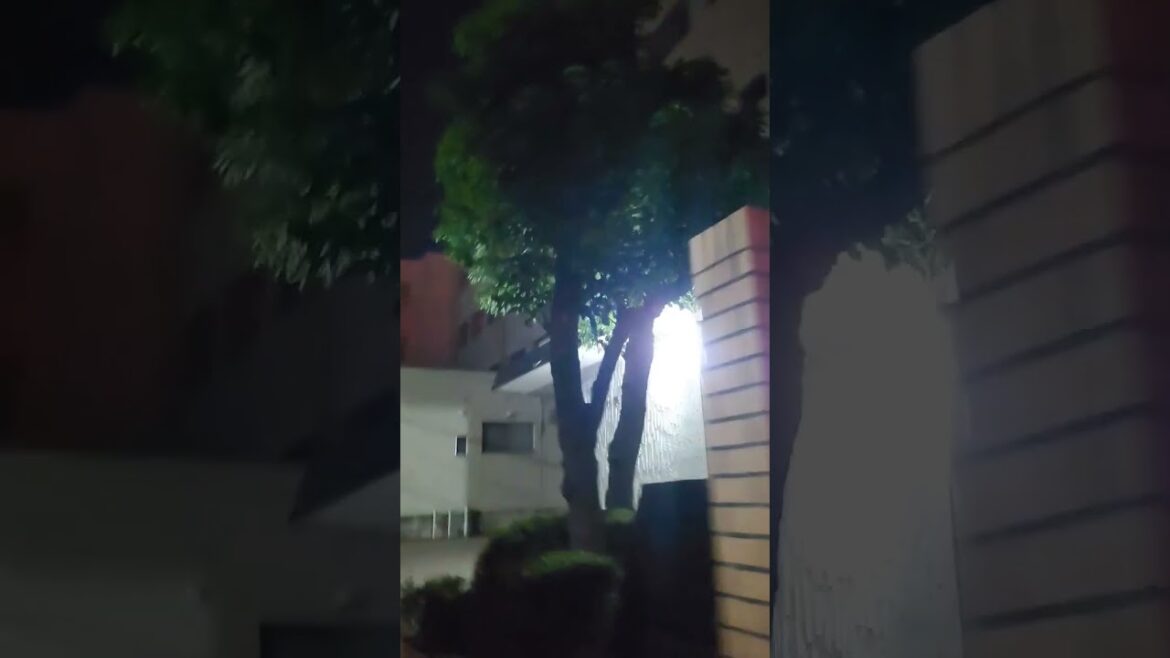 한밤중의 초등학교 건물 #유학생 #유학 #nagoya #나고야 #travel #나고야여행 #일본어학교