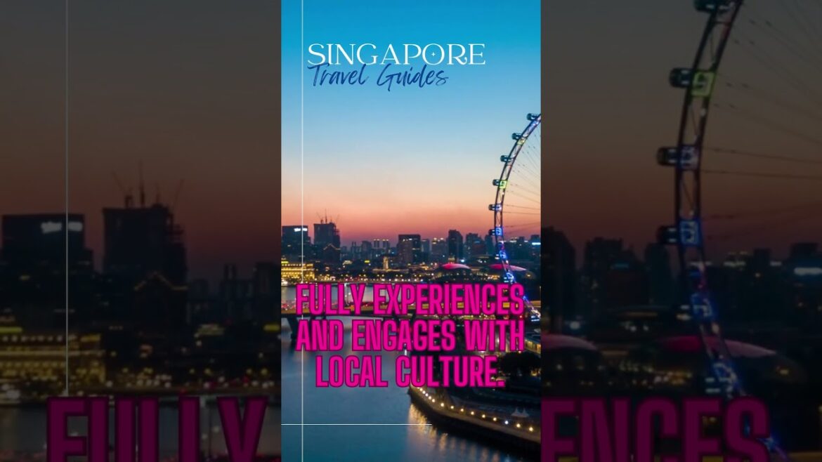 Travel Vlog26|solo travel vlog|italy travel vlog|food vlog Travel Vlog26|solo travel vlog|italy travel vlog|food vlog