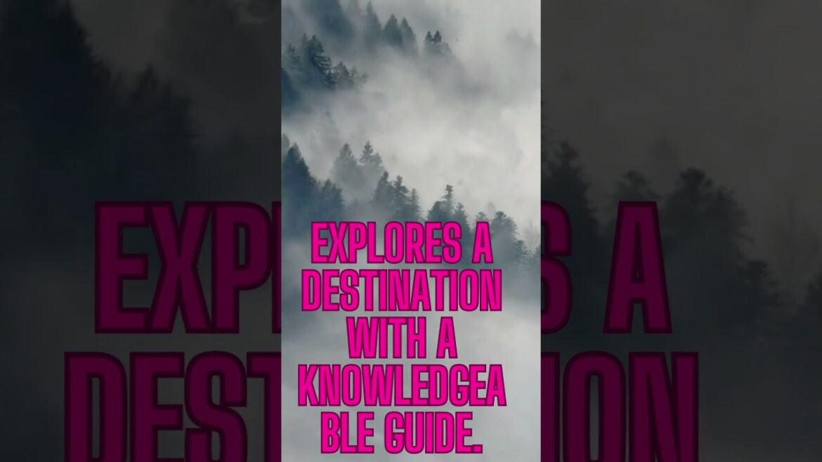 Travel Vlog54|travel vlogger|travel vlogger| indian vlogger Travel Vlog54|travel vlogger|travel vlogger| indian vlogger