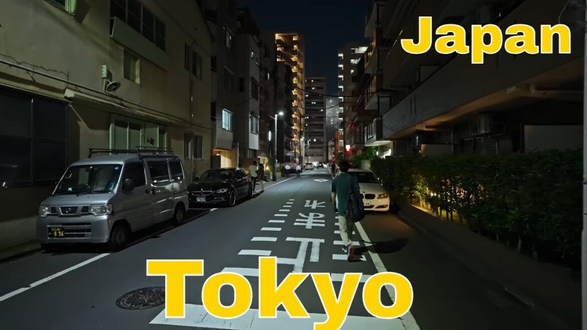 4K JAPAN| Walk in Tokyo of Japan 3