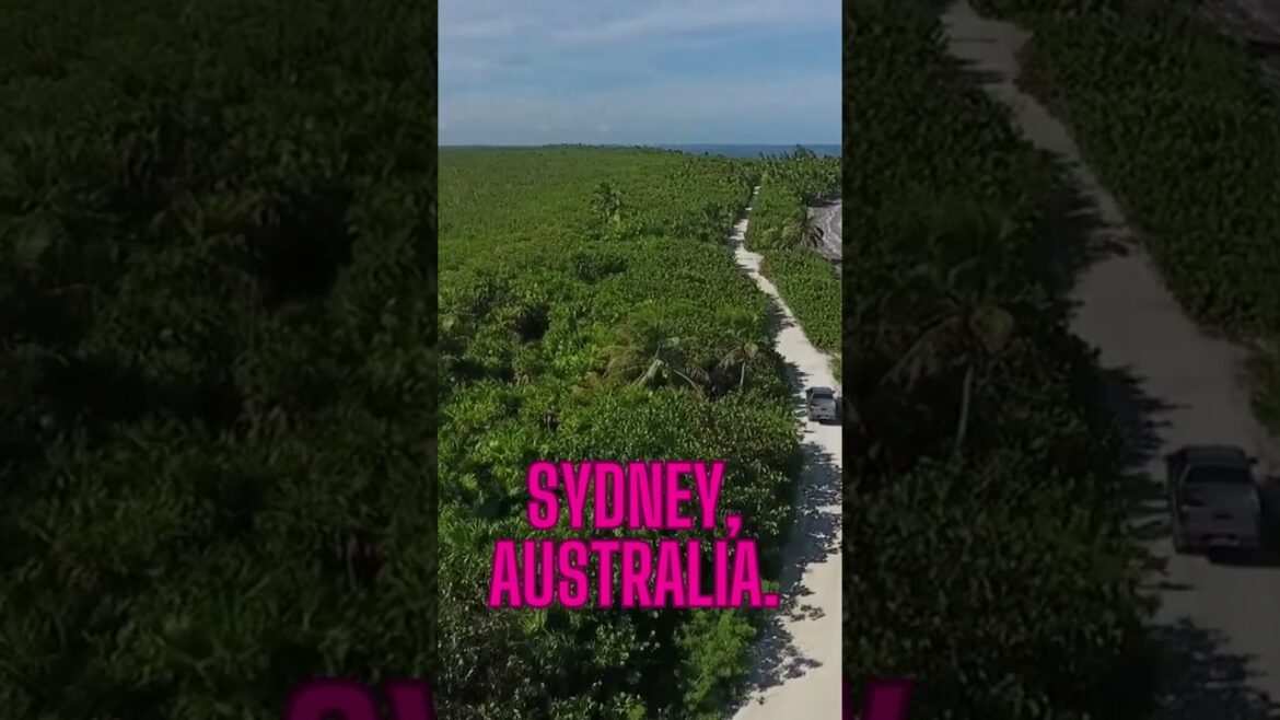 Travel Vlog53|travel vlogger|travel vlogger| indian vlogger Travel Vlog53|travel vlogger|travel vlogger| indian vlogger