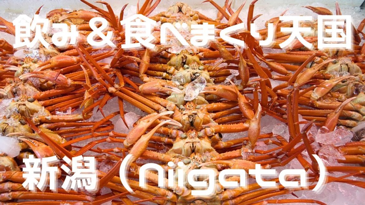 おいしいが止まらない新潟trip（can't stop eating & drinking in Niigata）