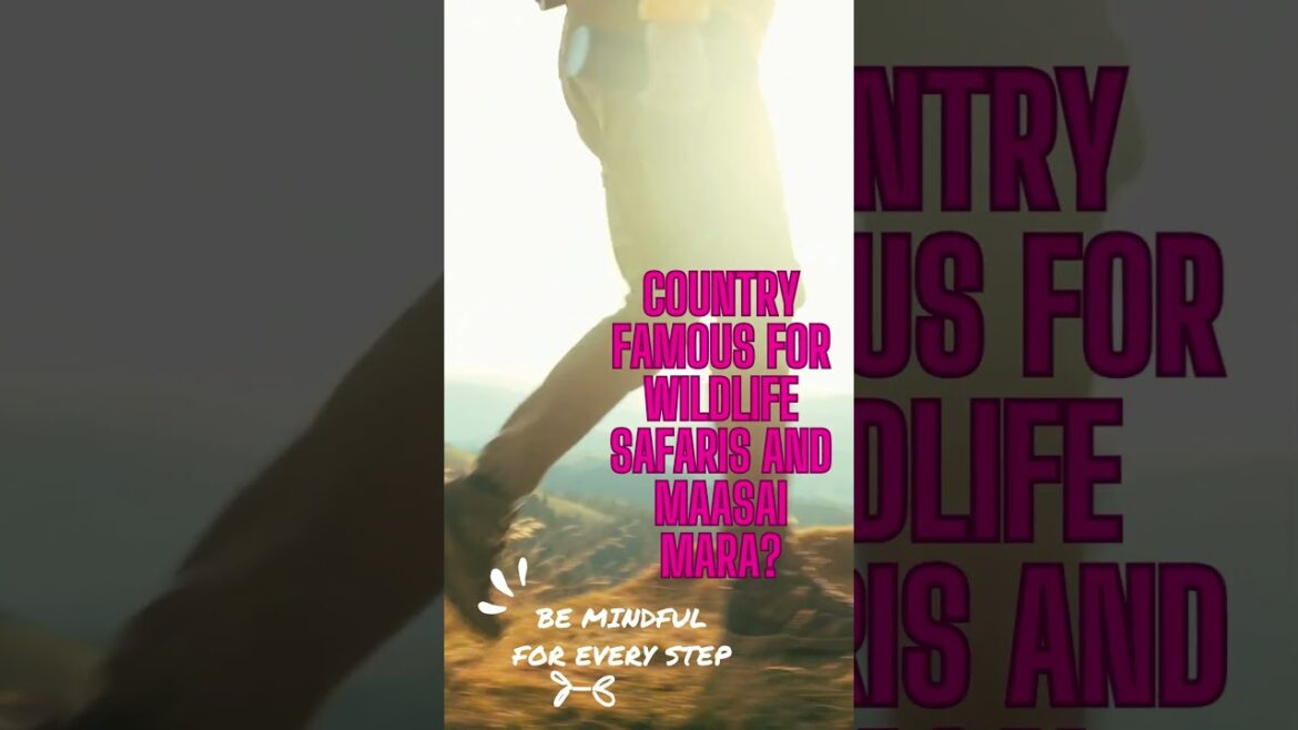 Travel Vlog40|travel vlogger|travel vlogger| indian vlogger Travel Vlog40|travel vlogger|travel vlogger| indian vlogger