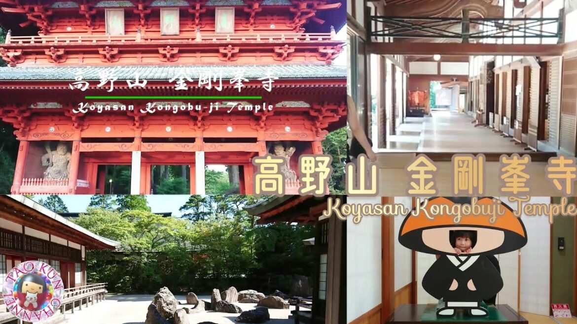 🍆お盆の高野山🍅金剛峯寺🥒夏休み🍧タオイズムでお寺参りシリーズ🍆Koyasan Kongobu-ji Temple in Obon holidays🍅太鳳くんのママは真言宗🥒 🍆お盆の高野山🍅金剛峯寺🥒夏休み🍧タオイズムでお寺参りシリーズ🍆Koyasan Kongobu-ji Temple in Obon holidays🍅太鳳くんのママは真言宗🥒