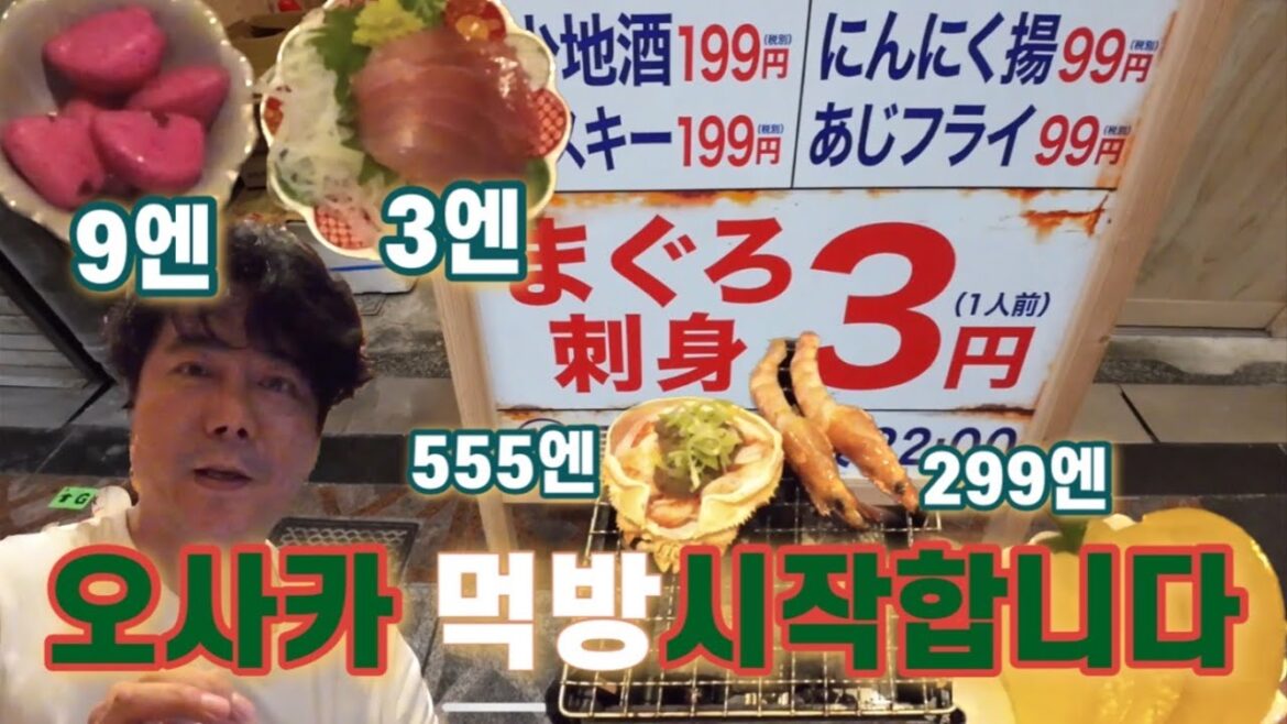 오사카 30원 사시미 ㄷㄷㄷ 오사카 30원 사시미 ㄷㄷㄷ