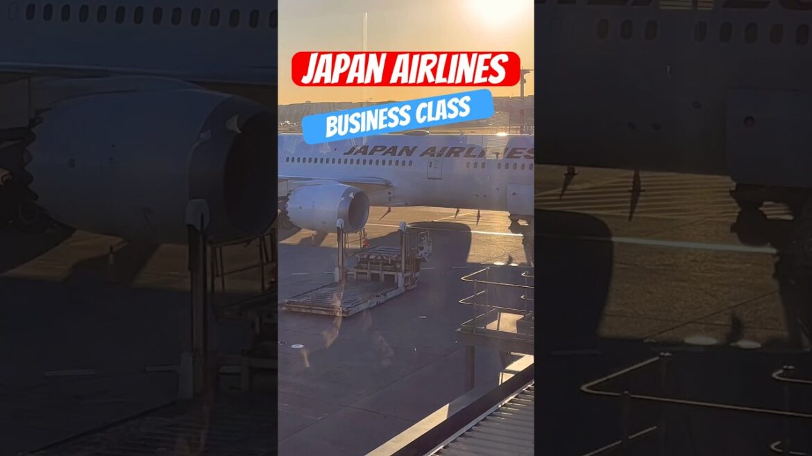 ✈️Japan Airlines Business Class 787-9 Sydney to Tokyo #businessclass #japanairlines #travel #japan