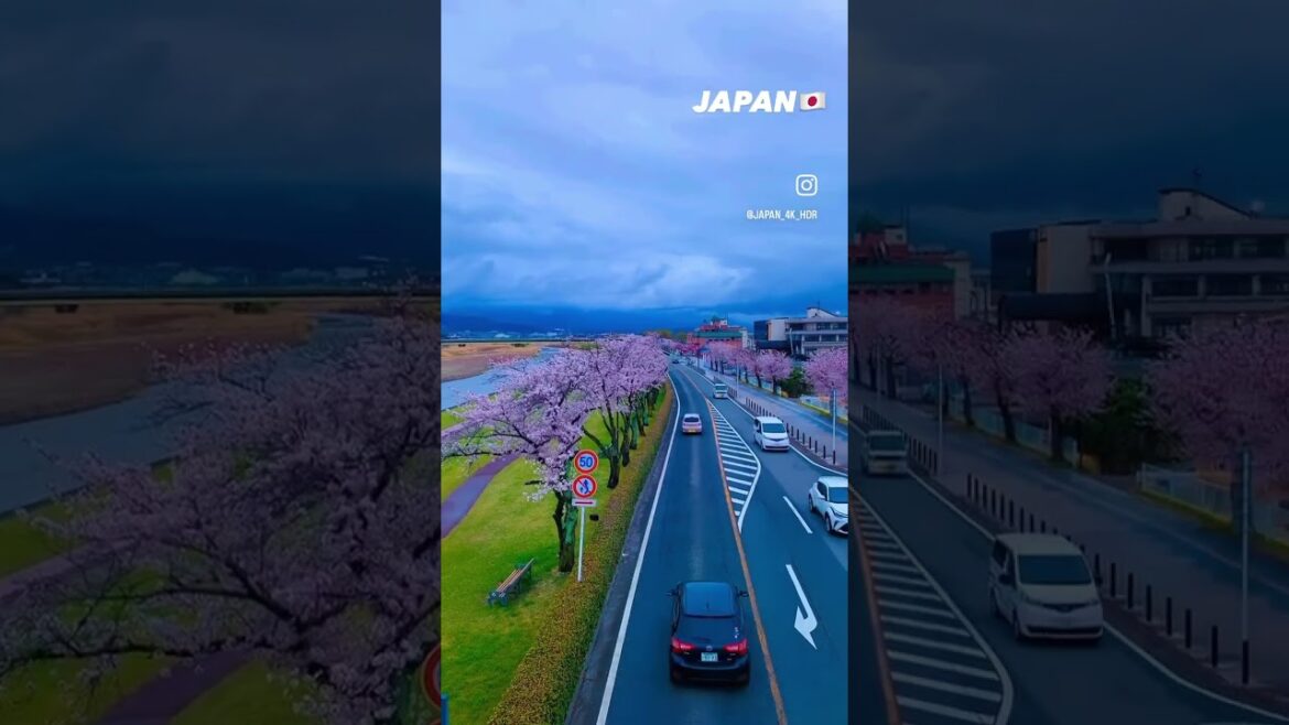📍Japan 🇯🇵 #shorts #japan #tokyo 📍Japan 🇯🇵 #shorts #japan #tokyo