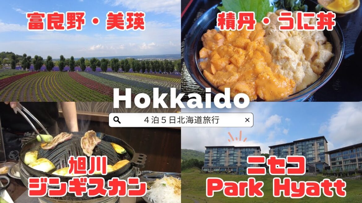 【北海道旅行】4泊5日女子2人旅、富良野、積丹、美瑛、ニセコ、定山渓 【北海道旅行】4泊5日女子2人旅、富良野、積丹、美瑛、ニセコ、定山渓