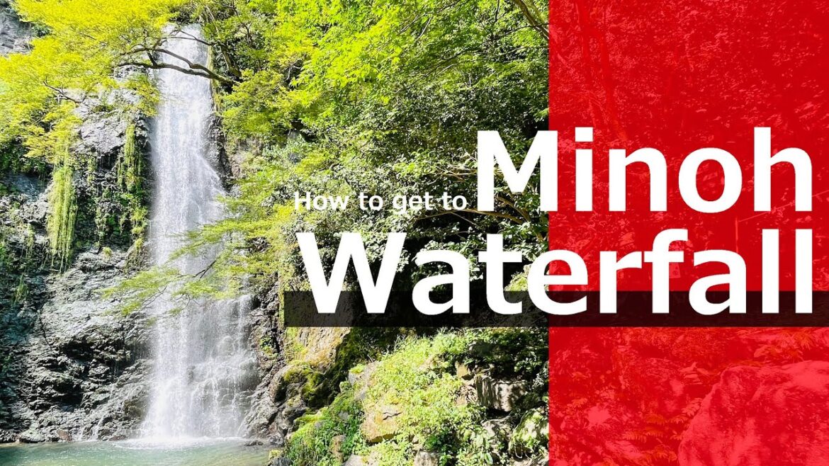 Minoh Waterfall │ Forested park with a gorgeous waterfall just outside Osaka