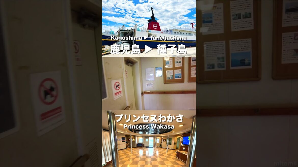 Cosmo Line Ferry Princess Wakasa #CosmoLine #PrincessWakasa #Kagoshima #Tanegashima #shorts Cosmo Line Ferry Princess Wakasa #CosmoLine #PrincessWakasa #Kagoshima #Tanegashima #shorts