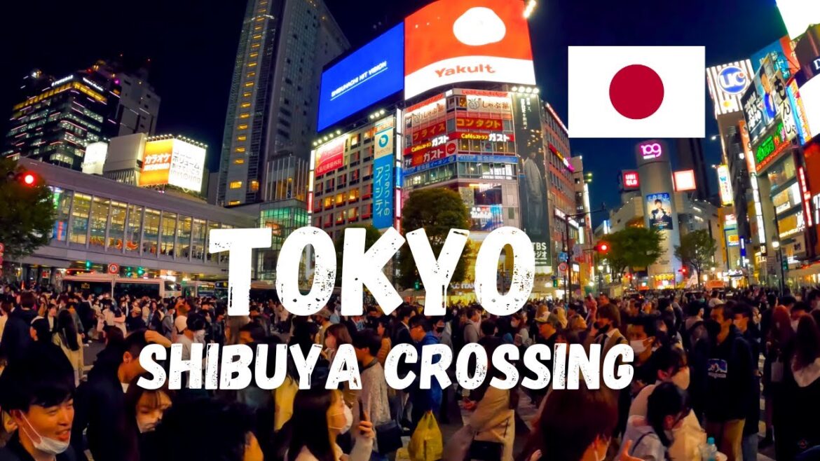 Discover the Nighttime Energy of Shibuya Tokyo