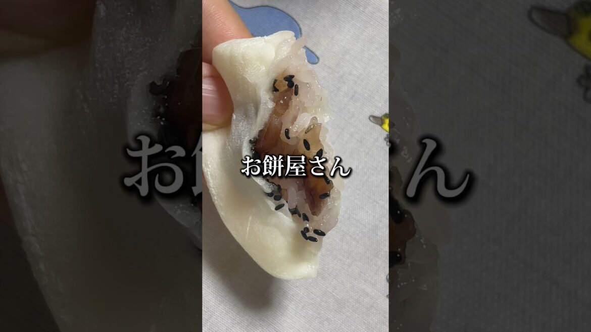 人気デートスポットの小樽ゼニバコテラス「さくらんぼ大福＆赤飯大福」変わり種が楽しいお餅屋さん #shorts