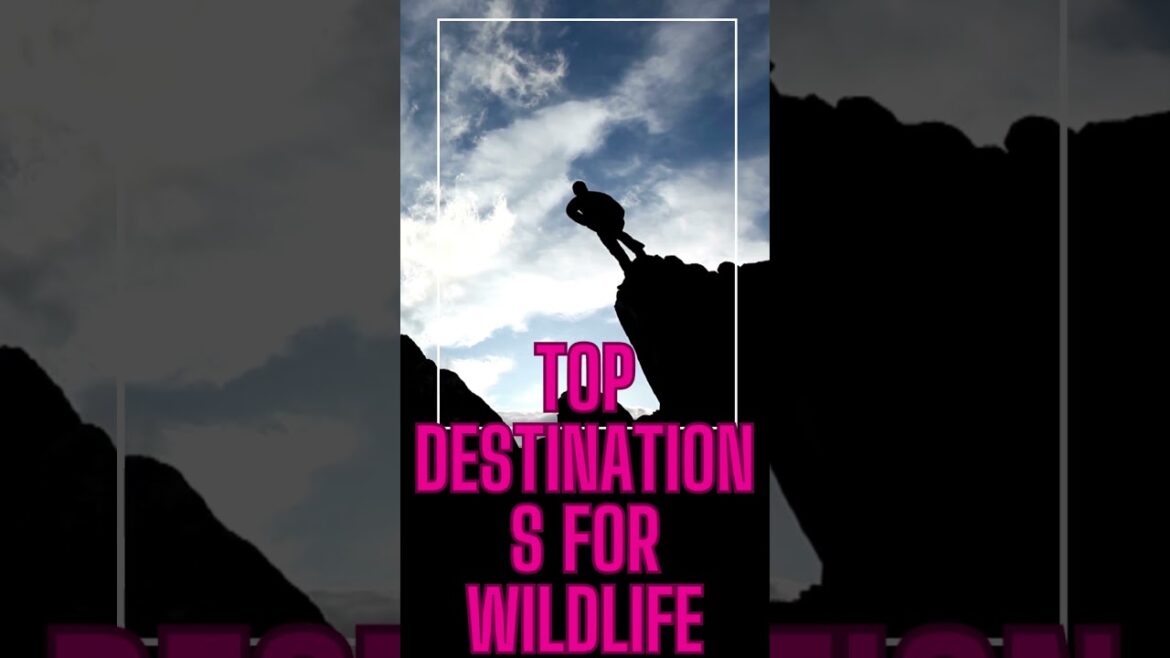 Travel Vlog25|solo travel vlog|italy travel vlog|food vlog Travel Vlog25|solo travel vlog|italy travel vlog|food vlog