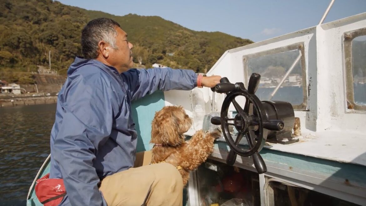 Dog-Friendly Experience in Japan: Pet Food Making, Fishing and Grilling in Mie