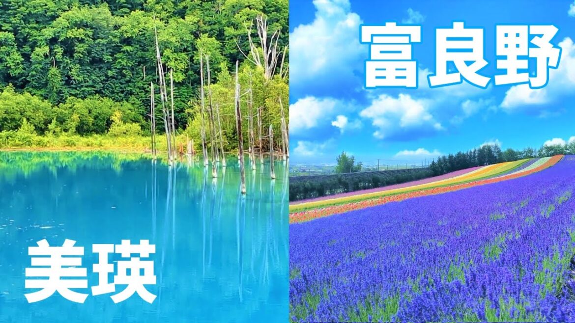 【2023年7月10日 富良野・美瑛】極上プラン!素敵な1日を過ごしてみませんか?【北海道】 【2023年7月10日 富良野・美瑛】極上プラン!素敵な1日を過ごしてみませんか?【北海道】