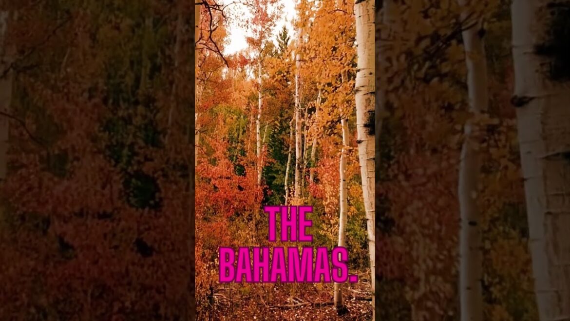 Travel Vlog55|travel vlogger|travel vlogger| indian vlogger