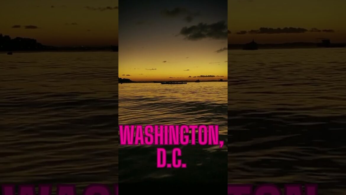 Travel Vlog44|travel vlogger|travel vlogger| indian vlogger