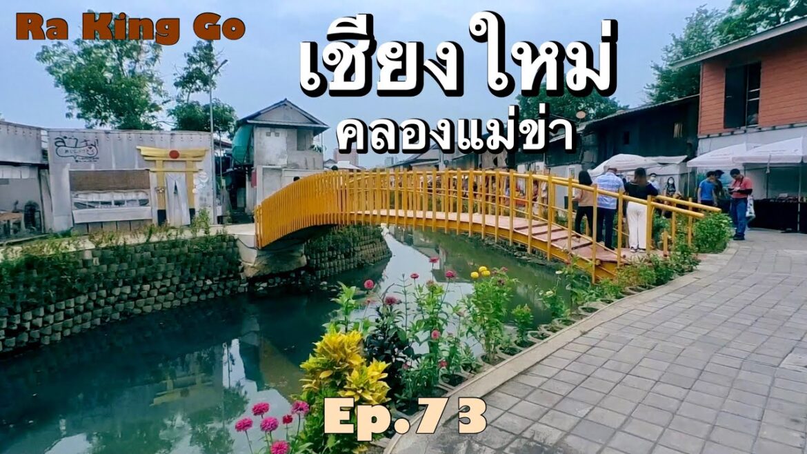 Anywheel ปั่นจักรยานเที่ยว คลองแม่ข่า โอโตรุ เมืองเชียงใหม่ | Ra King Go | Ep.73 Anywheel ปั่นจักรยานเที่ยว คลองแม่ข่า โอโตรุ เมืองเชียงใหม่ | Ra King Go | Ep.73