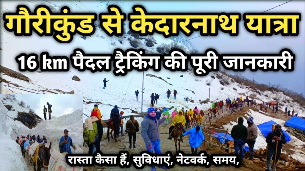 Gaurikund To Kedarnath Track Full Information || गौरीकुंड से केदारनाथ धाम यात्रा की पूरी जानकारी Gaurikund To Kedarnath Track Full Information || गौरीकुंड से केदारनाथ धाम यात्रा की पूरी जानकारी