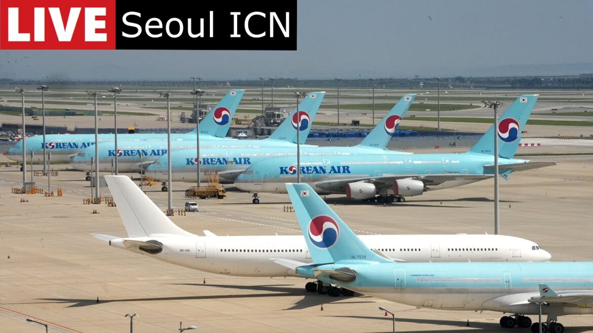 Airport Live Stream Typhoon Khanun winds Start Tomorrow Seoul Incheon