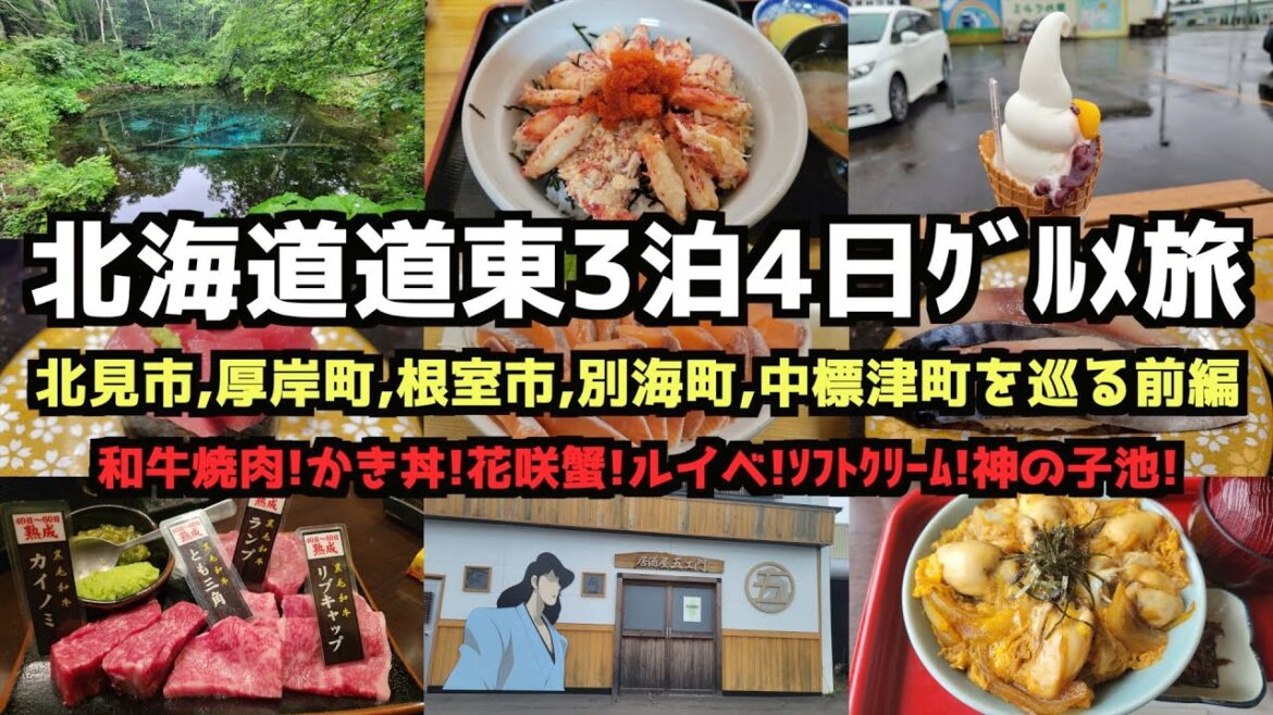 【道東グルメ旅行】北海道道東3泊4日グルメ旅前編 #北海道旅行 #北見市 #厚岸町 【道東グルメ旅行】北海道道東3泊4日グルメ旅前編 #北海道旅行 #北見市 #厚岸町