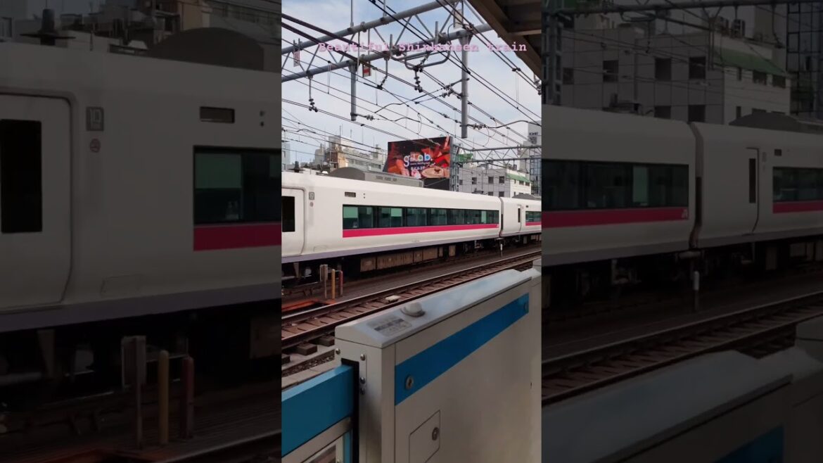 #travel #japan #shorts #japon #tokyotrains #tokyo #shinkansen #metro #asia #visitjapan #anime #happy