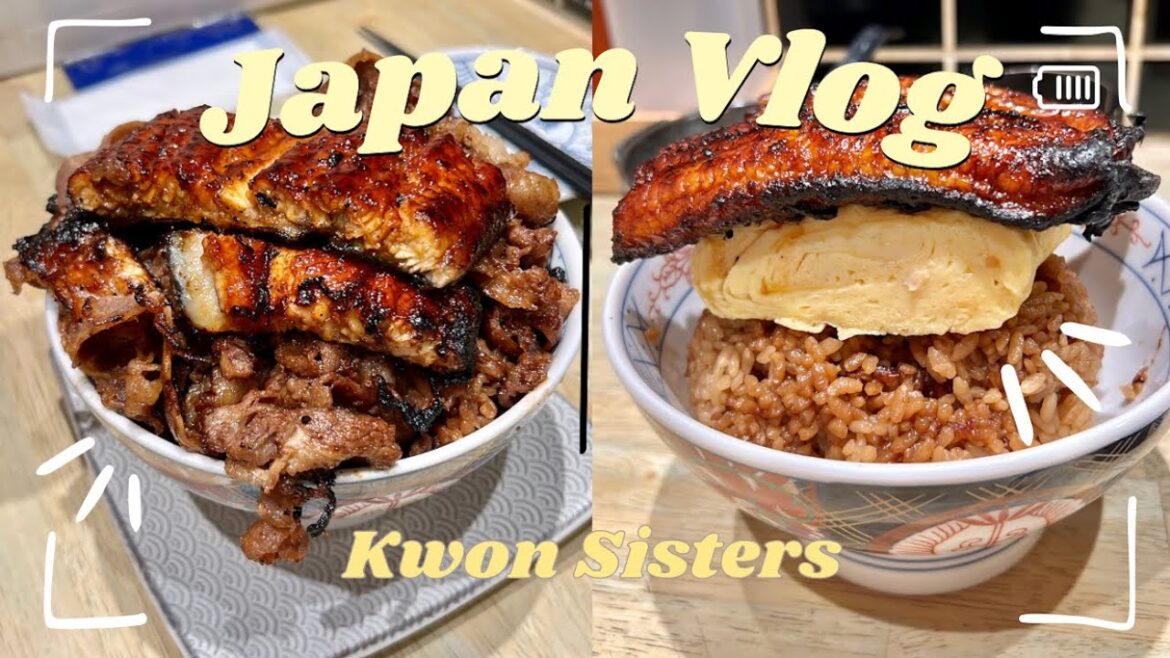 Japan Vlog | Traveling from Osaka to Tokyo and Daiwa Roynet Tokyo Kyobashi hotel review Japan Vlog | Traveling from Osaka to Tokyo and Daiwa Roynet Tokyo Kyobashi hotel review