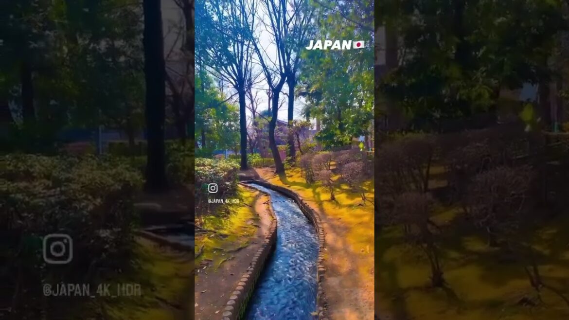 📍Japan 🇯🇵 #shorts #japan #tokyo 📍Japan 🇯🇵 #shorts #japan #tokyo