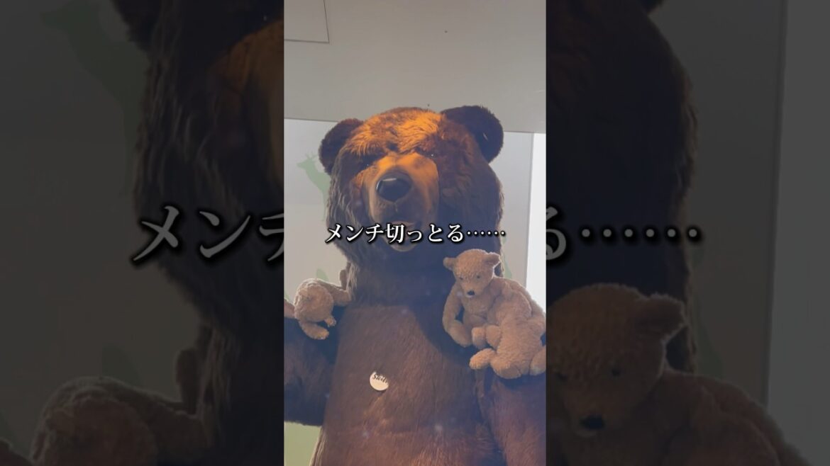 新千歳空港で巨大熊に遭遇「肩に乗ってる小さな熊が……」かわいい動物たちがお出迎え #shorts #cute