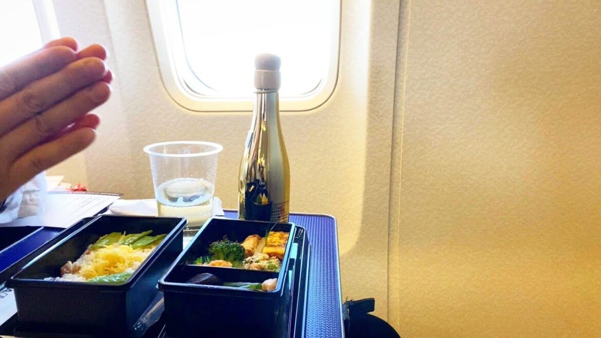 ANA国内線ファーストクラスで行く伊丹空港千里川土手 ANA国内線ファーストクラスで行く伊丹空港千里川土手