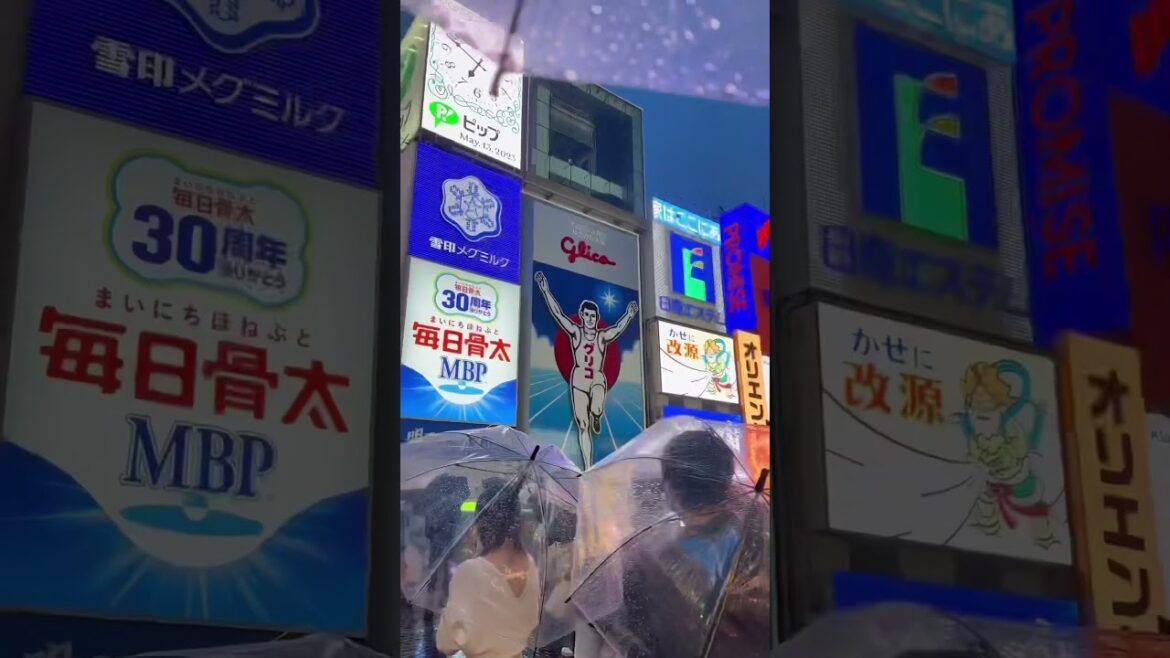 Come to Japan #osaka #japan #dotonbori #osakacastle #kyoto #tokyo #travel #japanesefood #nishiki