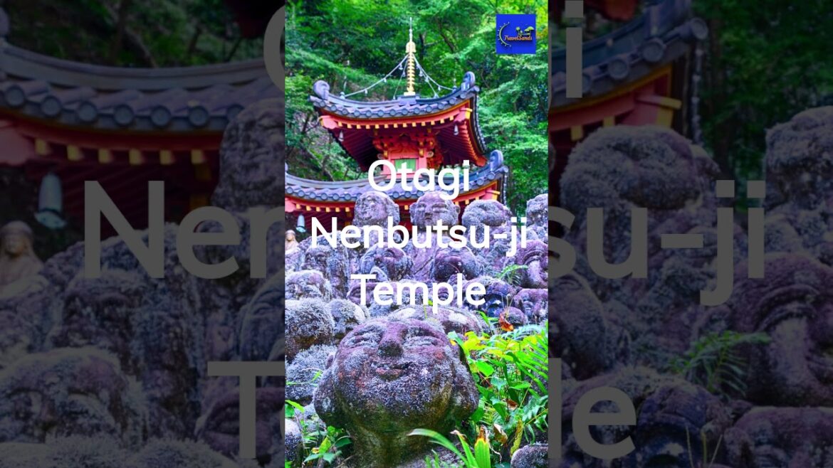 3 Things To Do In Kyoto, Japan #shorts 3 Things To Do In Kyoto, Japan #shorts