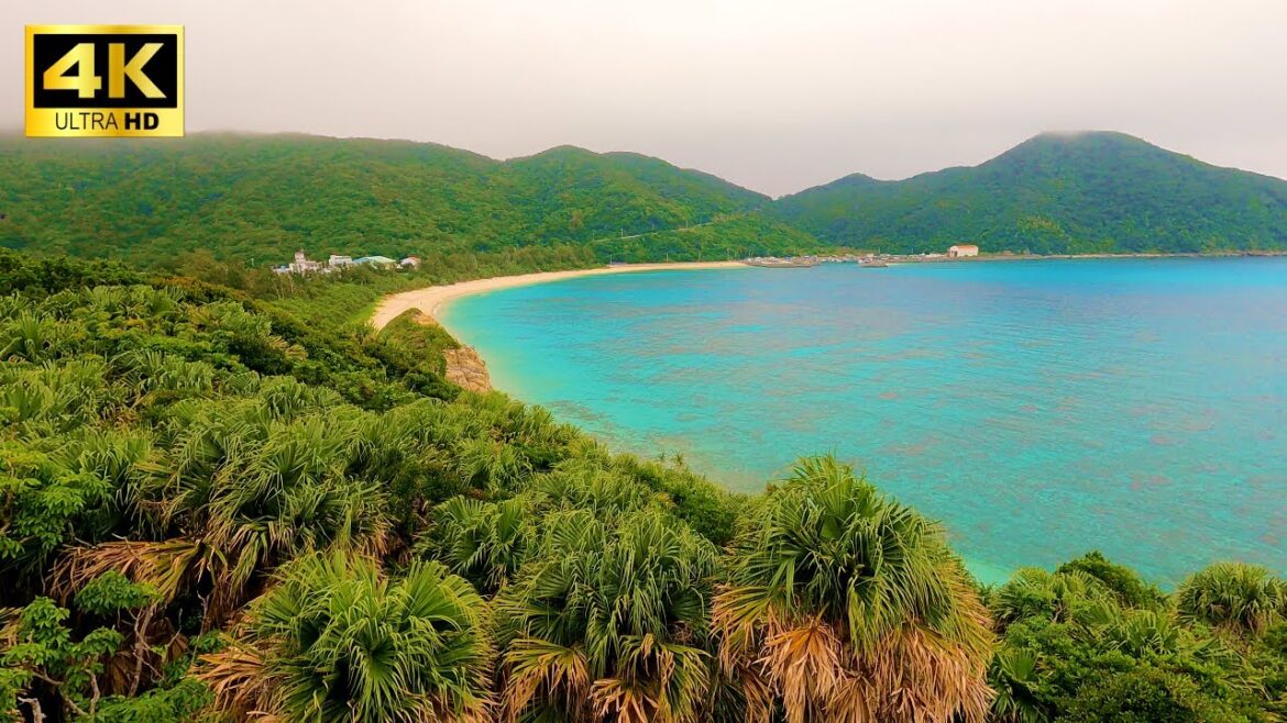 Beach where you can swim with sea turtles in Okinawa, Japan | solo trip, walk, travel vlog