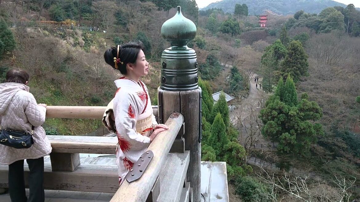 Japanese Traditional "kimono" made of Indian Cloth