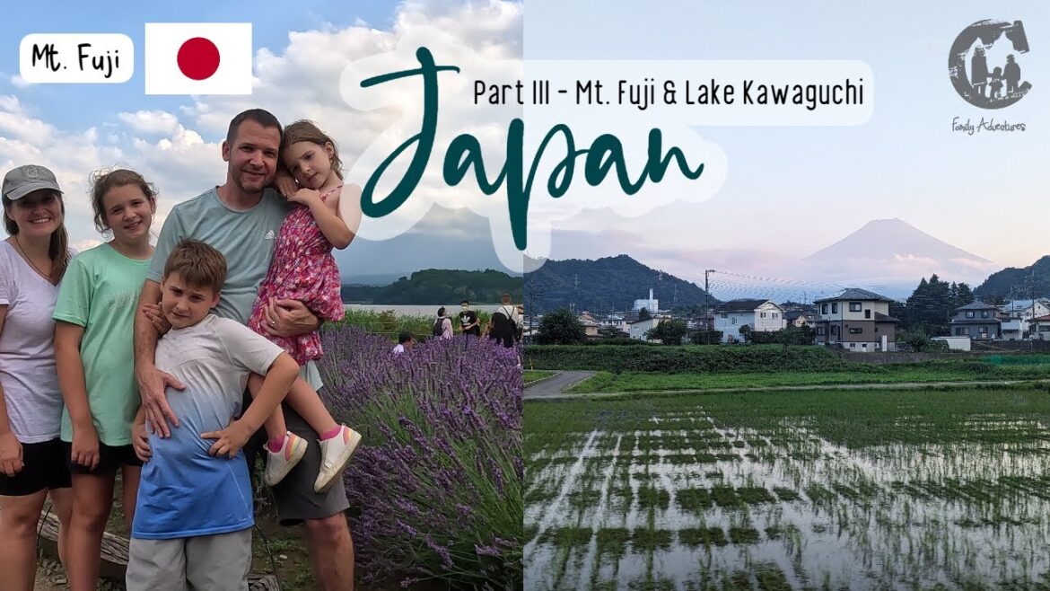 Majestic Mountain & Beautiful Gardens of Kawaguchiko – Mount Fuji 🇯🇵 (Part 3/4) Majestic Mountain & Beautiful Gardens of Kawaguchiko - Mount Fuji 🇯🇵 (Part 3/4)