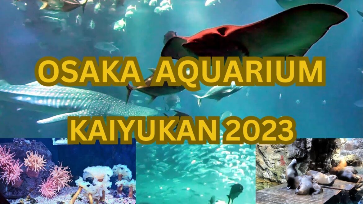 OSAKA AQUARIUM 2023 / JAPAN