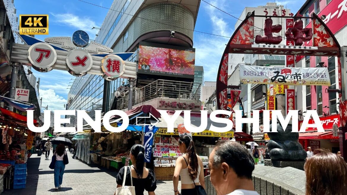 [4K] UENO AMEYOKO→YUSHIMA, Tokyo 🐧 Nonstop Walking Tour / 上野アメ横→湯島 東京 散歩