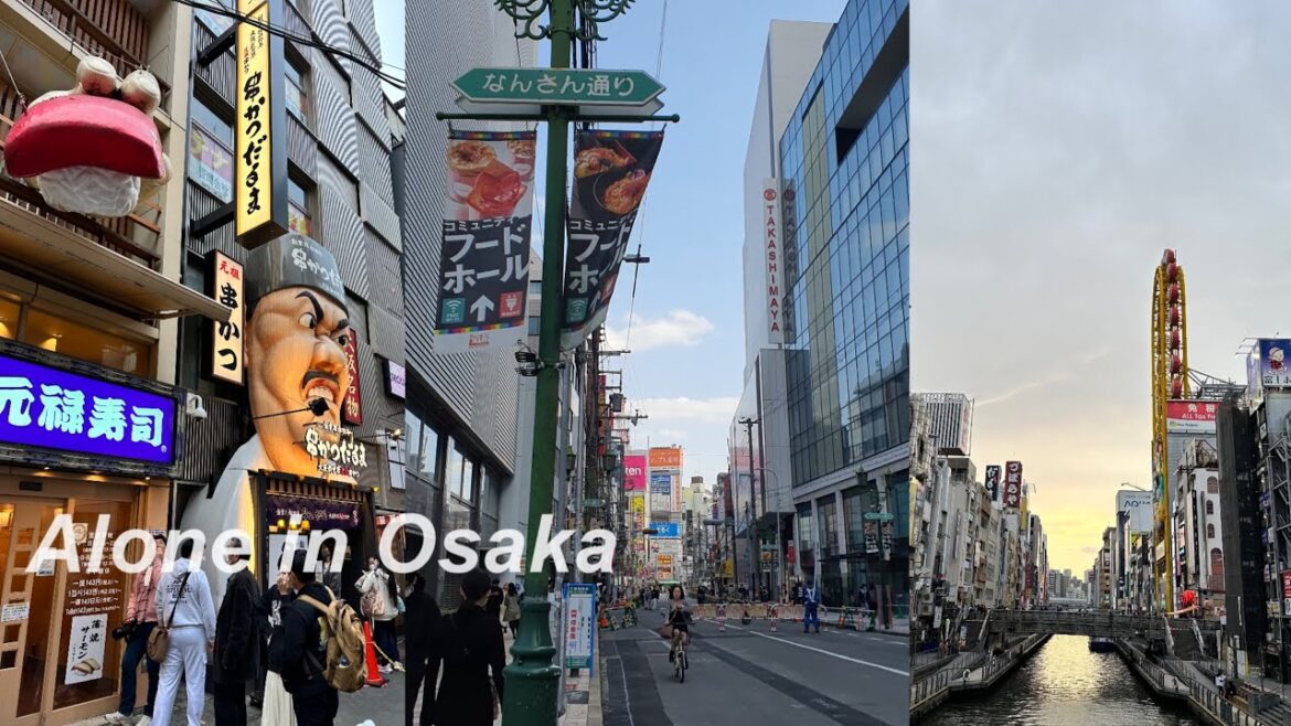 나 혼자 첫 일본여행 🇯🇵처음은 오사카를 가는 거라면서요? 나 혼자 첫 일본여행 🇯🇵처음은 오사카를 가는 거라면서요?