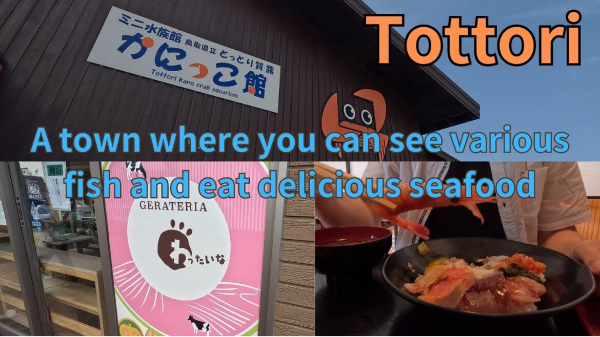 【Japan】【Tottori】Traveling Tottori Prefecture by Limited Express Train