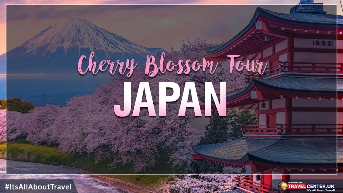 Japan Cherry Blossom Trips & Tours | Japan Holidays Japan Cherry Blossom Trips & Tours | Japan Holidays