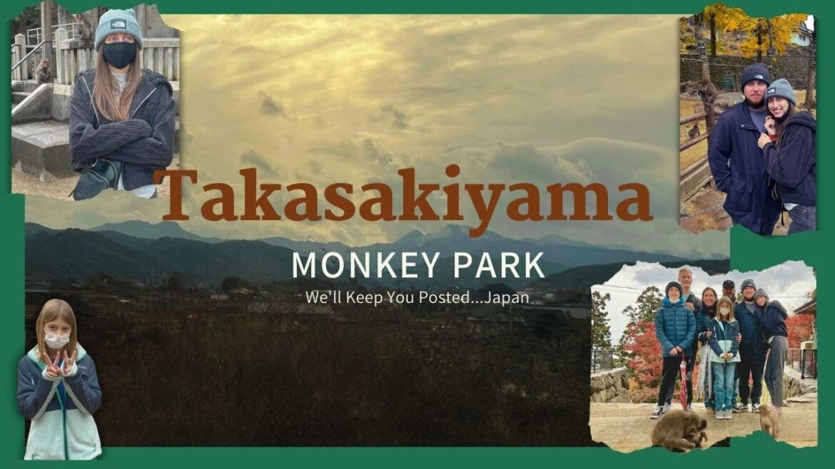 Monkeys! Monkeys! Monkeys!