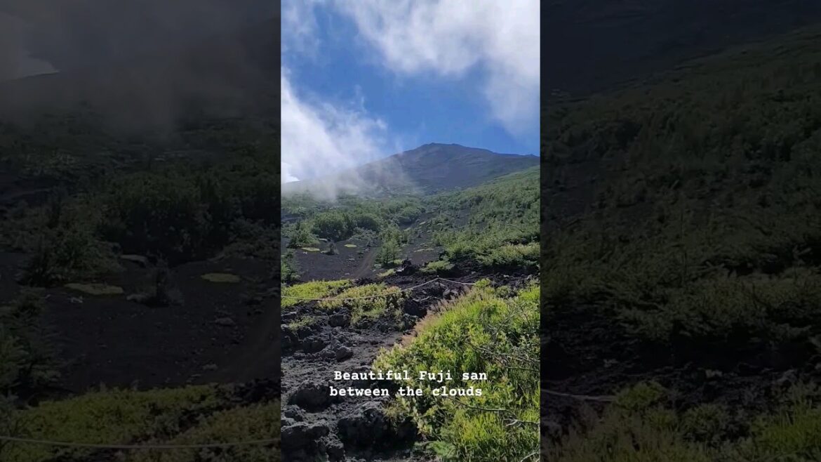 This is what is looks like to hike Mt. Fuji using  Subashiri Trail #japan #fuji #富士山
