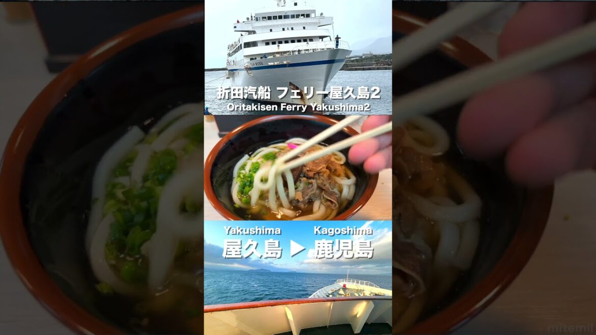 Japan’s Ferry🛳️🛳️🛳️Oritakisen Ferry Yakushima2 #shorts #Yakushima #Kagoshima #ferry Japan's Ferry🛳️🛳️🛳️Oritakisen Ferry Yakushima2 #shorts #Yakushima #Kagoshima #ferry