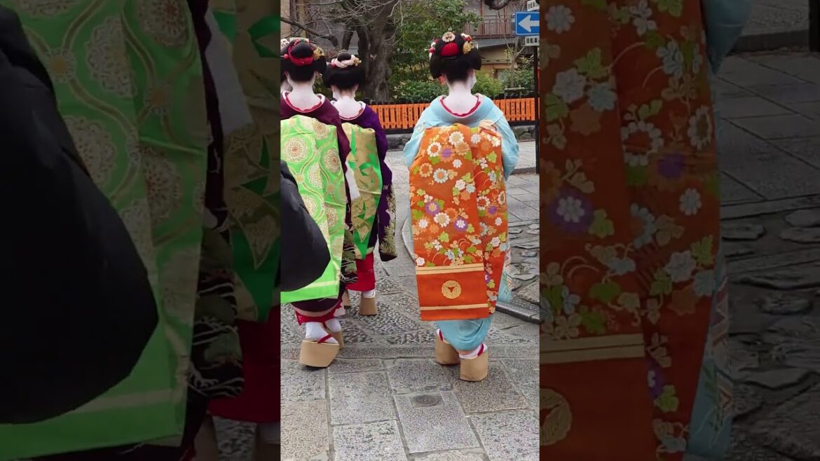 Geisha in Gion Kyoto | Japan Travel #Shorts