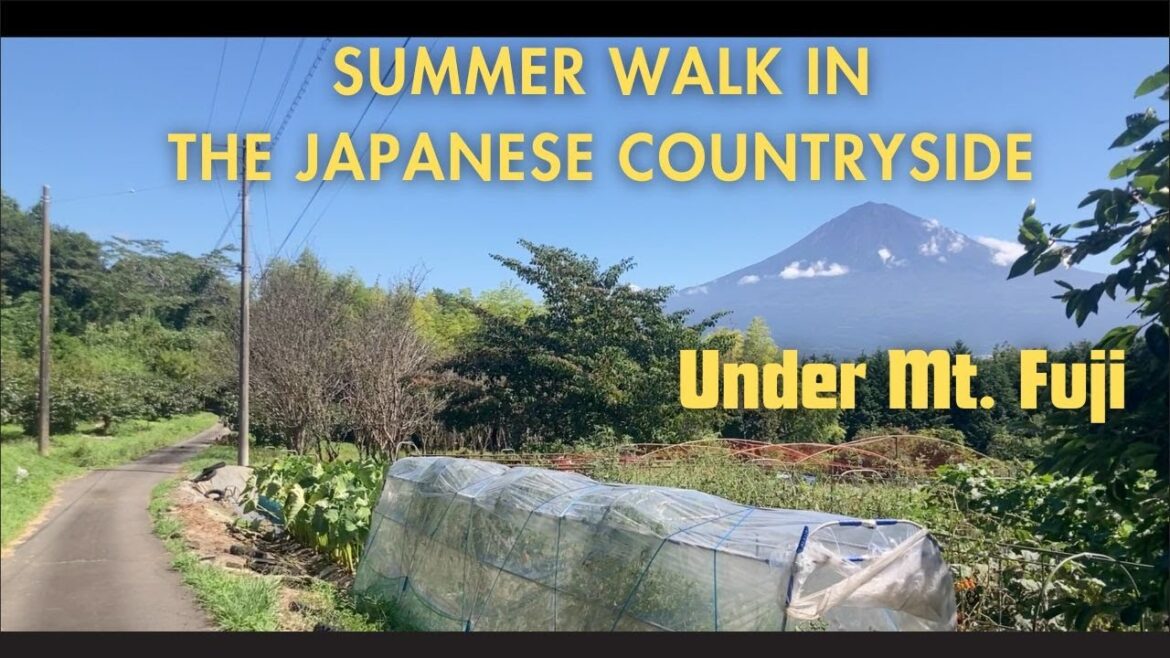 How I am recovering by walking the countryside of Japan: Summer Walk near Mt. Fuji. How I am recovering by walking the countryside of Japan: Summer Walk near Mt. Fuji.