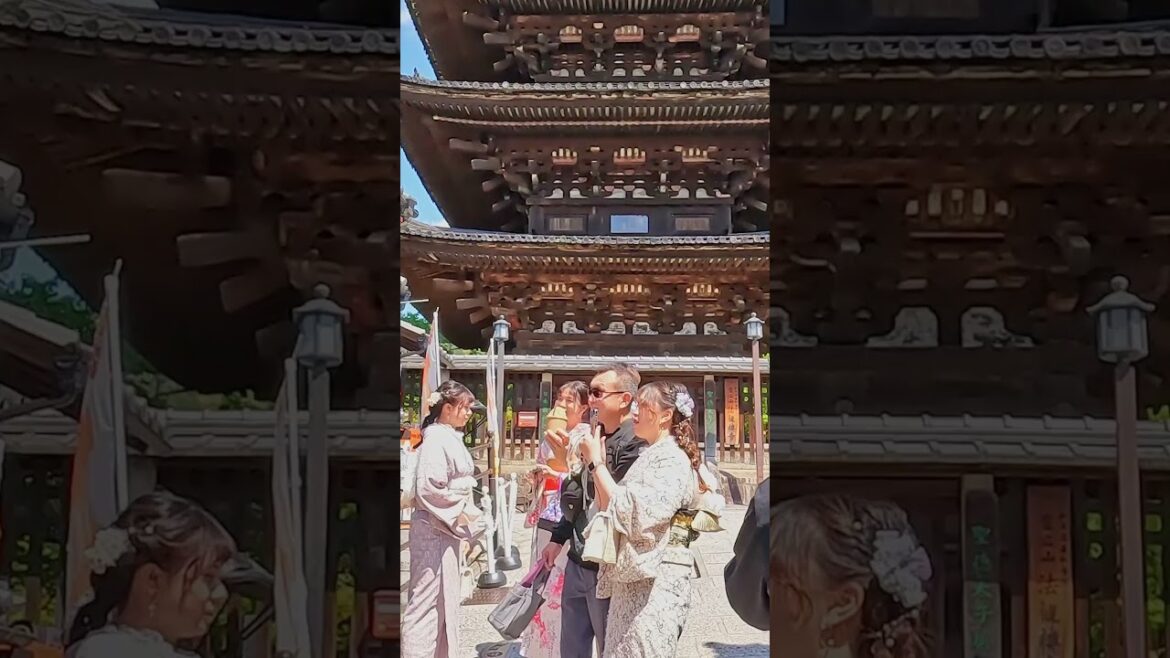 π Discovering Gion geisha district in Kyoto, Japan π΄ #walkingtour #kyoto #japan π Discovering Gion geisha district in Kyoto, Japan π΄ #walkingtour #kyoto #japan