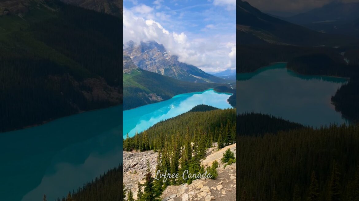 Rocky Mountains adventures Payto Lake Alberta travel #canada